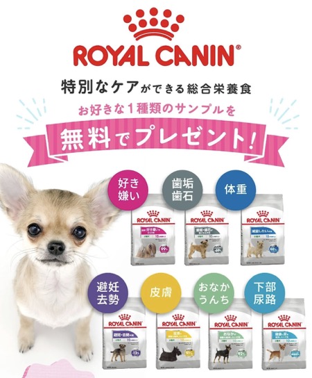 ロイヤルカナン 小型犬用ドッグフード（試供品）の無料サンプルプレゼント