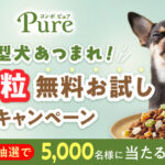 コンボ ピュア ドッグ 超小粒 ドッグフードの無料サンプルプレゼント