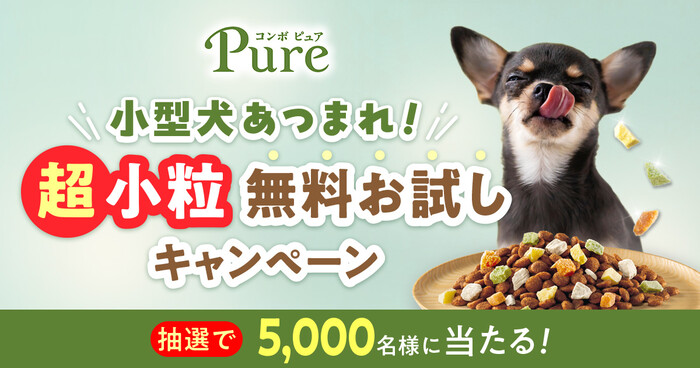 コンボ ピュア ドッグ 超小粒 ドッグフードの無料サンプルプレゼント