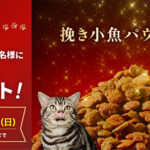 銀のスプーン贅沢うまみ仕立て40g(試供品)の無料サンプルプレゼント