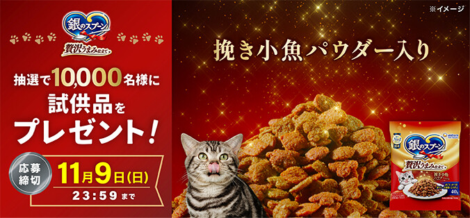 銀のスプーン贅沢うまみ仕立て40g(試供品)の無料サンプルプレゼント