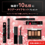 KATE(ケイト) ホリデーメイクセットの無料サンプルプレゼント