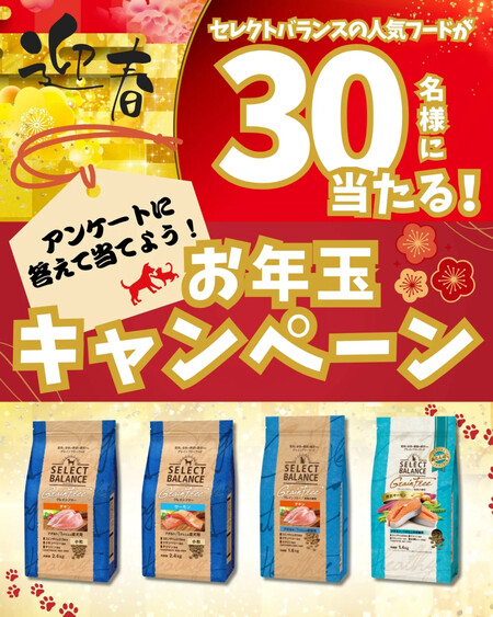 セレクトバランス 犬用 or 猫用 フードの無料サンプルプレゼントキャンペーン