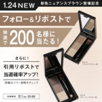 KATE(ケイト) デザイニングアイブロウ3Dの無料サンプルプレゼントキャンペーン