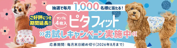 犬用おむつ ピタフィットの無料サンプルプレゼントキャンペーン