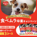 ビューティープロ ドッグ パウダフル〈ドッグフード〉の無料サンプルプレゼントキャンペーン