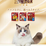 銀のスプーン 三ツ星グルメ〈キャットフード〉の無料サンプルプレゼント
