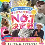 スカルプD まつ毛美容液の無料サンプルプレゼント