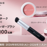 ブリリアージュ カモフラージュ コンシーラーチーク＆ワイドフィンガーブラシの無料サンプルプレゼント