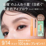デジャヴュ パウダリーブロウティント〈アイブロウ〉の無料サンプルプレゼント
