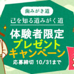 サンスターの歯ブラシの無料サンプルプレゼント